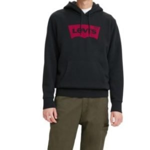 Men's Regular Fit Batwing Graphic Logo Hoodie